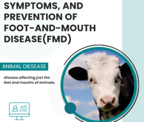FOOT AND MOUTH DISEASE FMD