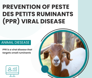 PPR is a viral disease that targets small ruminants