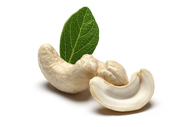 Cashew nut extracted from the Raw cashew nut