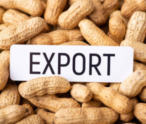 Concept of trade of peanuts, export and import of food