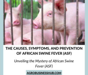 Unveiling the Mystery of African Swine Fever (ASF)