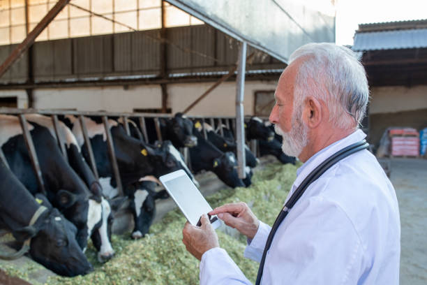 Agrimoon Dairy Tech Solutions