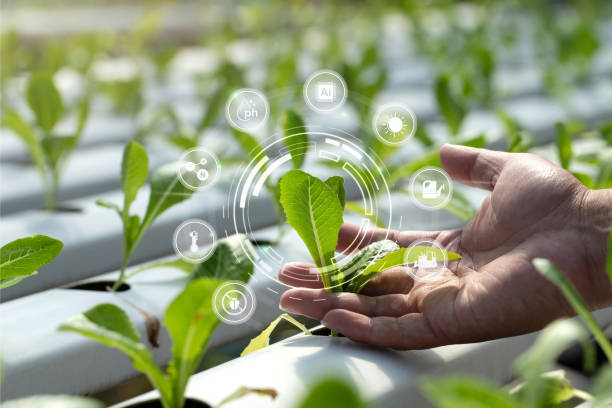 Agrotech and Innovation