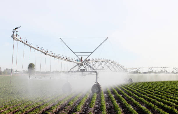 A center pivot farm irrigation system in an Idaho potato field .