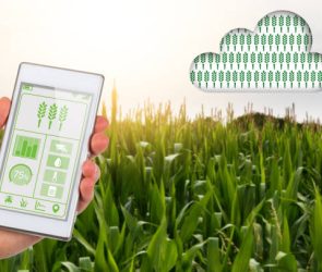 Cloud Computing Solutions for sustainability in Modern Agriculture