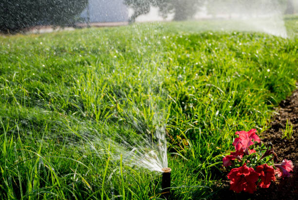 Early fall provides a comfortable environment for both plants and your sprinkler system
