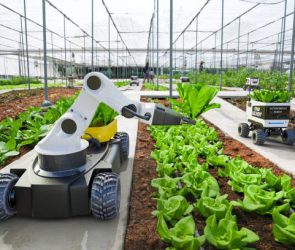 Emerging Technologies in Agriculture