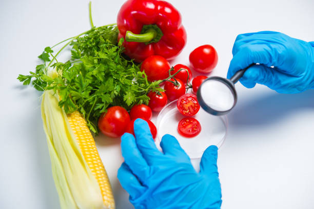 Research of various vegetables in the laboratory on GMOs and harmful substances
