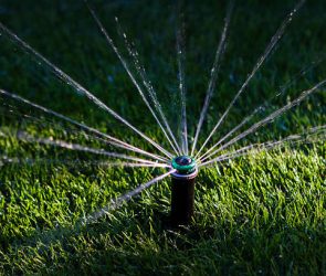 Installing your sprinkler system in early summer
