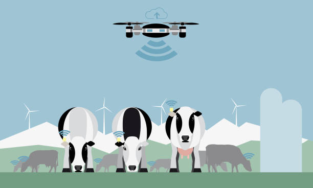 Livestock Monitoring Drones