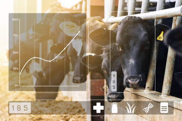 Livestock Monitoring Systems
