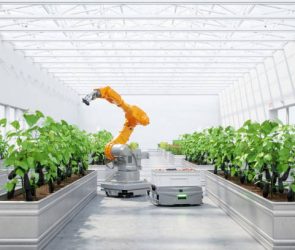 Automated smart farming facility using robotics and artificial intelligence.
