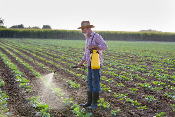 Pesticides are chemical substances used in agriculture