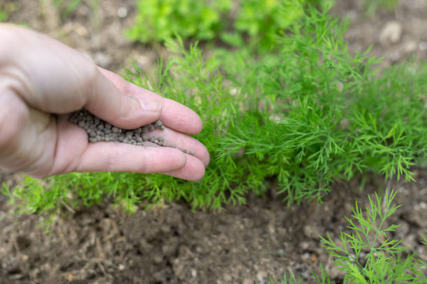 Soil Health Enhancement
