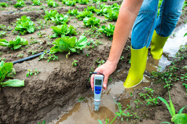 Soil Health and Nutrient Monitoring Systems
