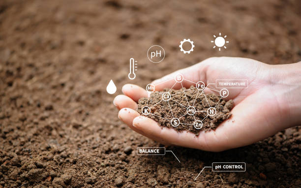 Soil analysis is the process of evaluating the chemical, physical, and biological properties of soil