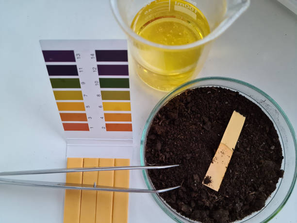 Soil pH is a measure of how acidic or alkaline the soil is