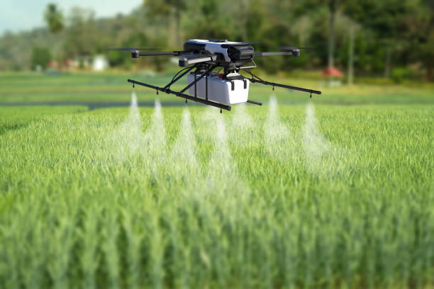 Drone spraying pesticide on wheat field. 3D illustration