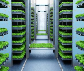 indoor vertical farming 3D Illustration