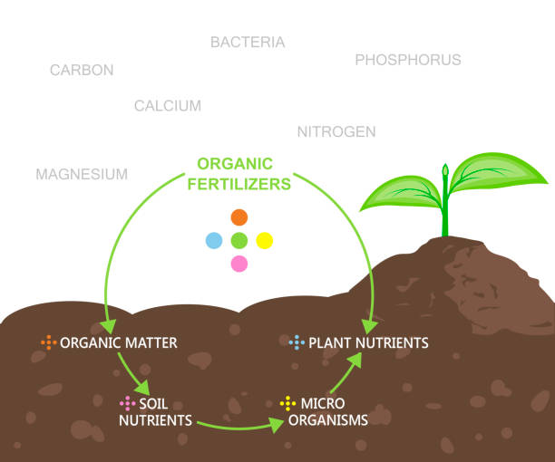 Diagram of nutrients in organic fertilizers. Vector illustration flat design