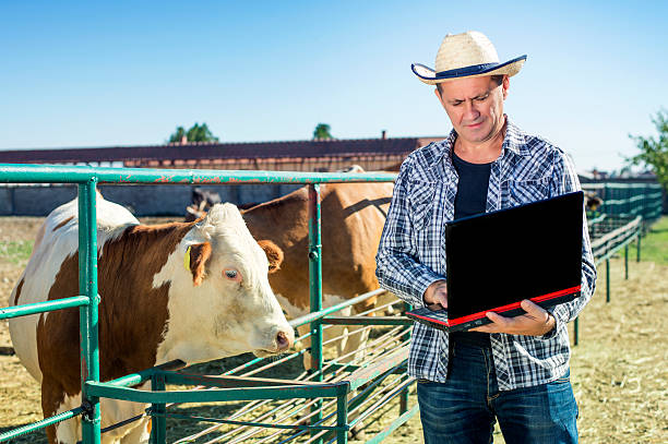 a desktop-based software for cattle ranchers