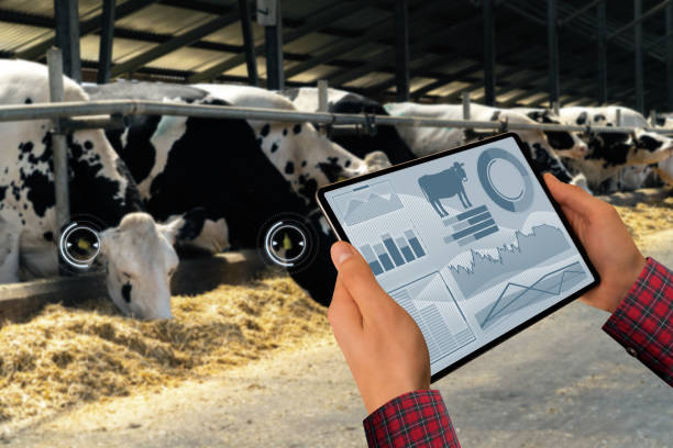 a livestock management software that provides tools for herd tracking, performance analysis, and cattle inventory management.