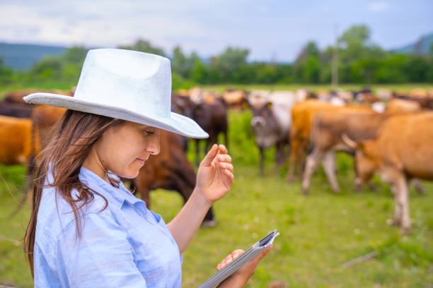 a mobile app that focuses on cattle management