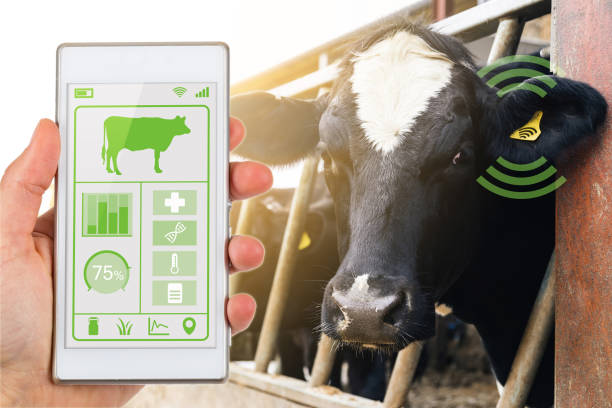 a mobile based livestock management app that allows farmers to track cattle and sheep