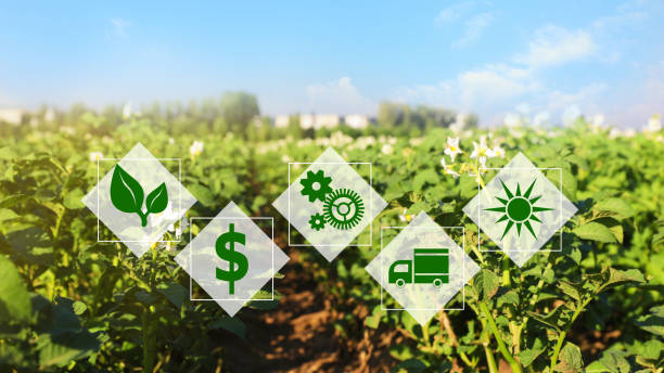budget considerations when choosing an agriculture monitoring system