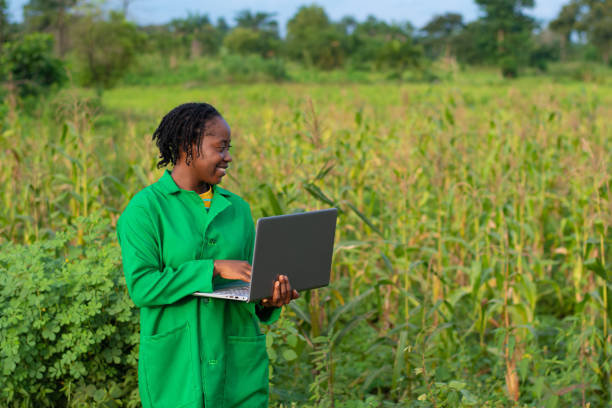 A female African farmer working with a laptop