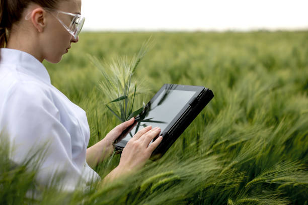 considering the data accuracy and reliability of the agriculture monitoring system