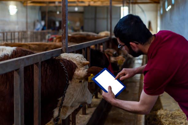 farm management software that can be adapted for livestock farming