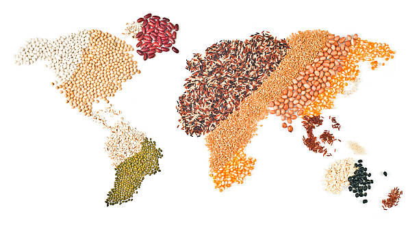global food trade