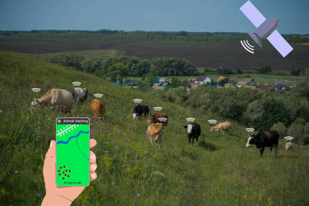 grazing management software that helps farmers optimize their pasture usage