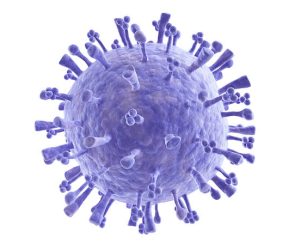 Macro view of isolated H1N1 swine flu virus. Clipping path included.