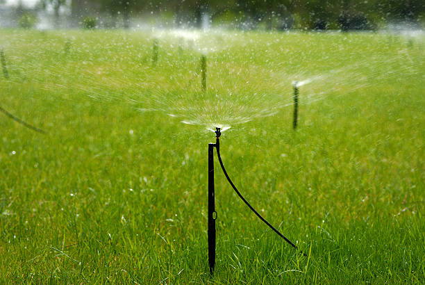 late spring is an excellent choice for installing your sprinkler system