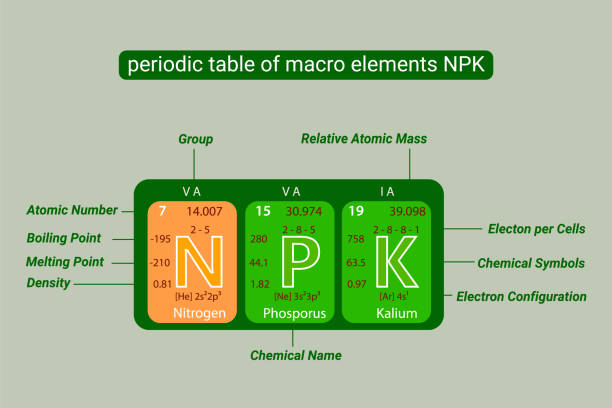 periodic table of macro elements NPK, Nitrogen, Phosporus and Kalium, Potassium