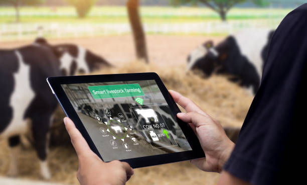 software designed for cattle ranchers