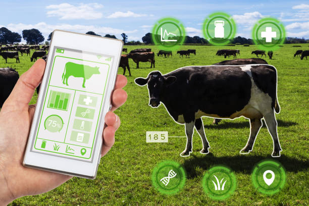 software that offers features such as weight tracking cattle inventory management