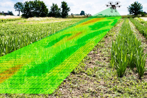 Benefits of Infrared Camera Drones in Agriculture