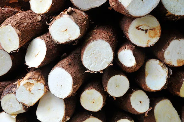 Cassava and Food Security