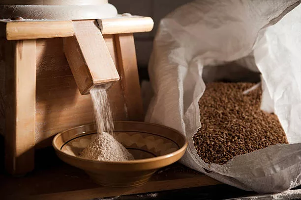 Small flour mill is grinding spelt wheat into flour.