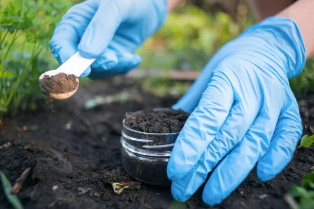 Logan Labs has carved out a unique niche as a pioneer in soil testing