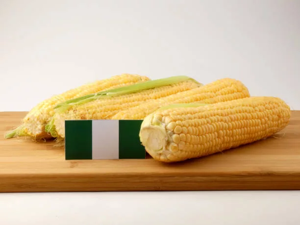 Nigerian flag on a wooden panel with corn isolated on a white background