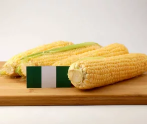 Nigerian Maize