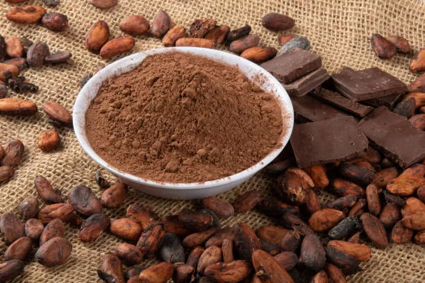 Powdered cocoa with pieces of chocolate on raw cocoa beans.