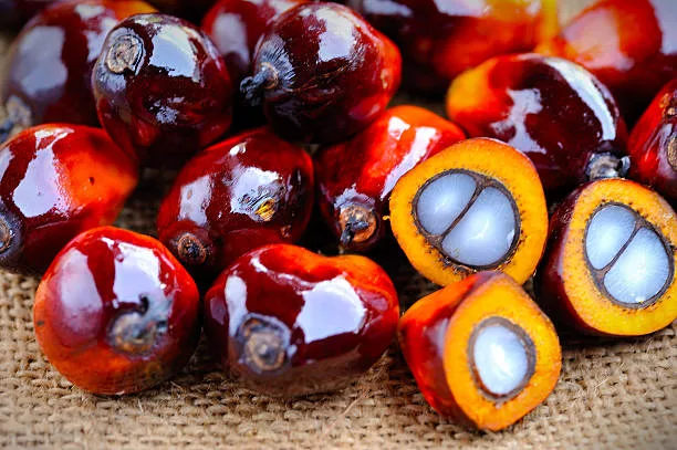 Nutritional Properties of Nigerian Palm Oil