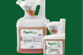 Pyganic® Crop Protection 5.0 Image Credit: https://www.mgk.com/