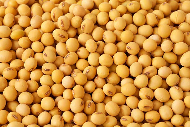 Close up of soybean