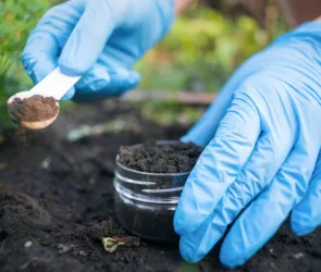 Soil Testing Companies Revolutionizing Agriculture